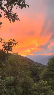 Panoramic Wood Cabin - 1