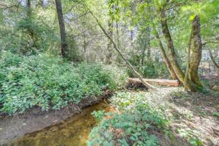 522 Massive 3 bedroom Close to the Water - 6