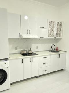 Уютная квартира в Шымкенте ЖК Аль-Фараби - 0