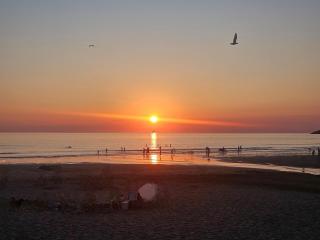 Ocean View Lodge - Sea Views & Decking - 7