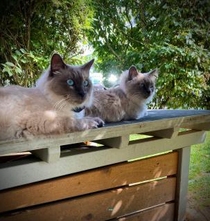 Hotel-von-Heyden - 6