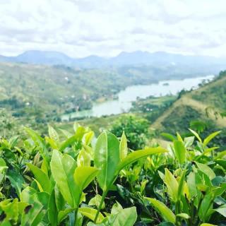 River side Guest House - 6