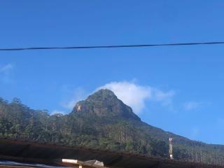 River side Guest House - 1