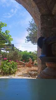 Vasiliki's Country House - 7