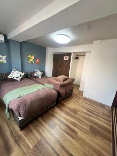 ヴィオラ菊水 - 1