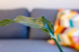 Zoe's world - Bruxelles - 9