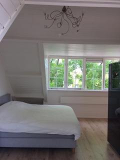 Rotterdam City House with sunny garden - 2