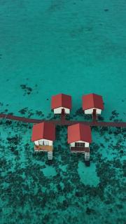 Coco Seaweed Resort - 7