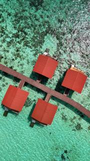 Coco Seaweed Resort - 1