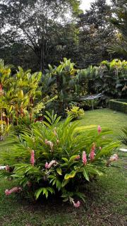 Caribbean Hill Villas - 4