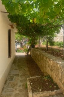 Zingaro Anima Maris, tra Scopello e Lo Zingaro - 2