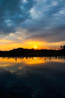 Ever Breeze Villa Ahangama - 6