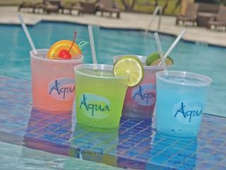 Treasure Bay Casino & Hotel-Adults Age 21 and Above - 5