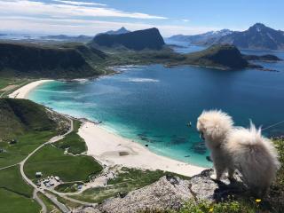 Top apartment in Leknes city, with carport -  - 8