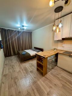 Апартаменты недалеко от аэропорта и ЖД Вокзала - 6