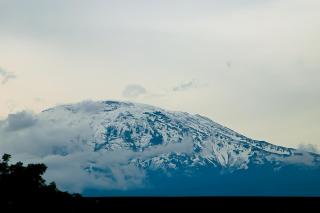 Moshi Green Lodge - 0