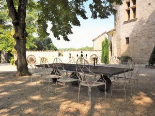 Castle near Agen with Shared Pool - Saint-Caprais-de-Lerm - 6