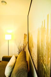 Downtown Green Room at Villages on Aurora - Ironwood - 2