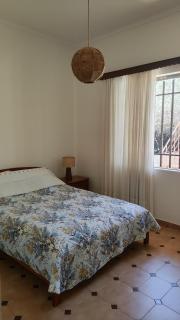 Authentic Garden House in Sounio - 4