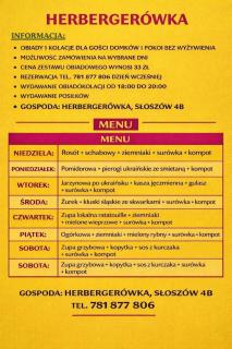 Altana letnia nr3 - Herbergerówka Agroturystyka na wsi - 9