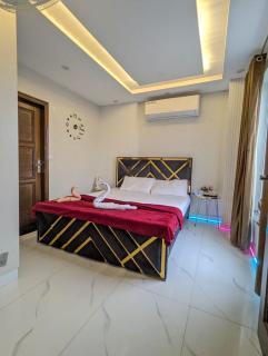 Designer Foriegner Deluxe OneBed Apartment - 9