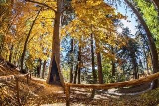 Il tuo rifugio perfetto in Sila - 6