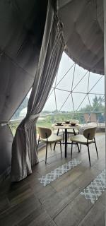 Green Noise Domo Deluxe - 6