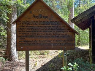 Schwarzwaldhaus Zwink - 8