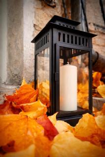 Z-1 Kraków Old Town O&P ApartFamily - 3