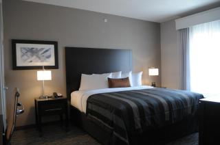 Wingate by Wyndham Loveland Johnstown - 8