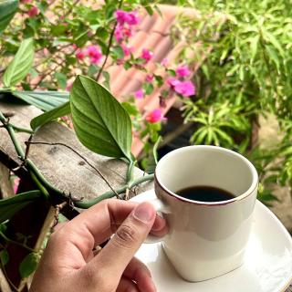 Casa Finca Santorini - 4