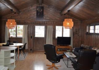 Cozy cabin with good sun conditions on Skeikampen - 9