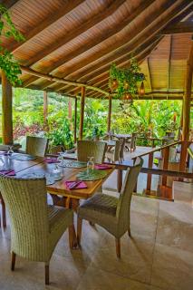 Lost Iguana Resort and Spa - 1
