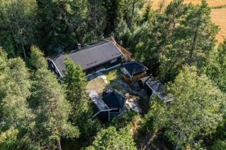 Dream Magic in the woods - 0