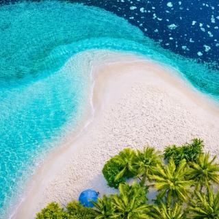 Bougain Villa Gemanafushi - 4