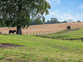 4 Bed in Byers Green 95189 - 8