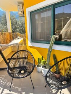 The bee's house 2 - 5