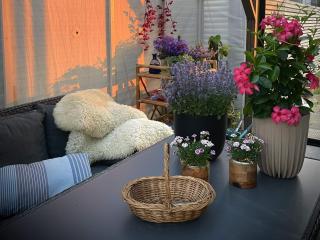 5 star holiday home in Vesterøy - 1