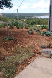 Apartments with parking space Krusevo, Novigrad - 17149 - 2