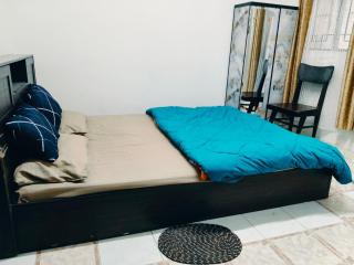 Tulip - Shillong - 3