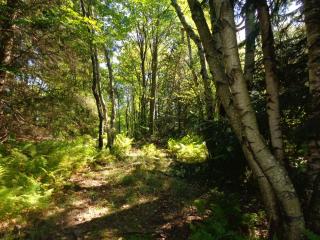 Domaine des sentiers - 5
