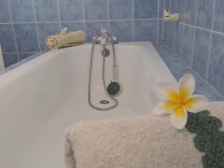 Maison Familiale avec Billard et Grand Jardin Sécurisé - FR-1-786-82 - 4