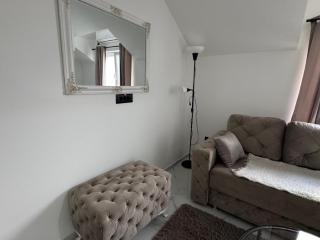 Airport vicinity Apartment Star 1 - Belgrade - 4