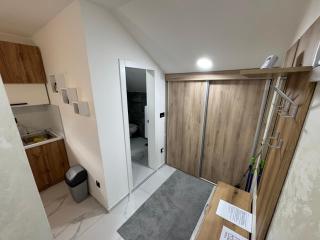 Airport vicinity Apartment Star 1 - Belgrade - 5