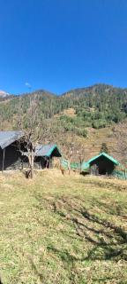 Paradise Camping Apple Orchard - 3