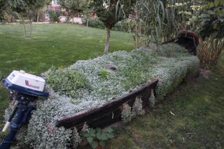 Pensiunea Heracleea - 1