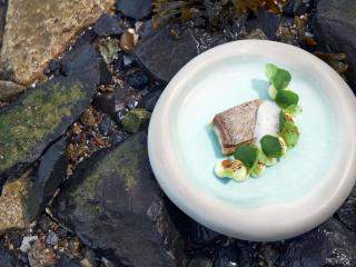 Hotel Ter Zand - Handwritten Collection - 5