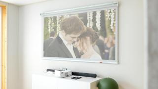 Gapyeong Dangdangi Dog Pension Purple - 3