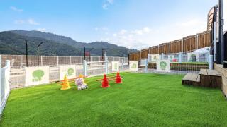 Gapyeong Dangdangi Dog Pension Purple - 2