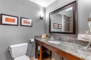 Comfort Suites Smyrna - Nashville Area - 5